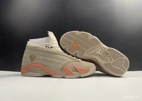 Low AIR Retro Jordan Clot Blush Terra DC9857-200 DC9857-200 14 0503